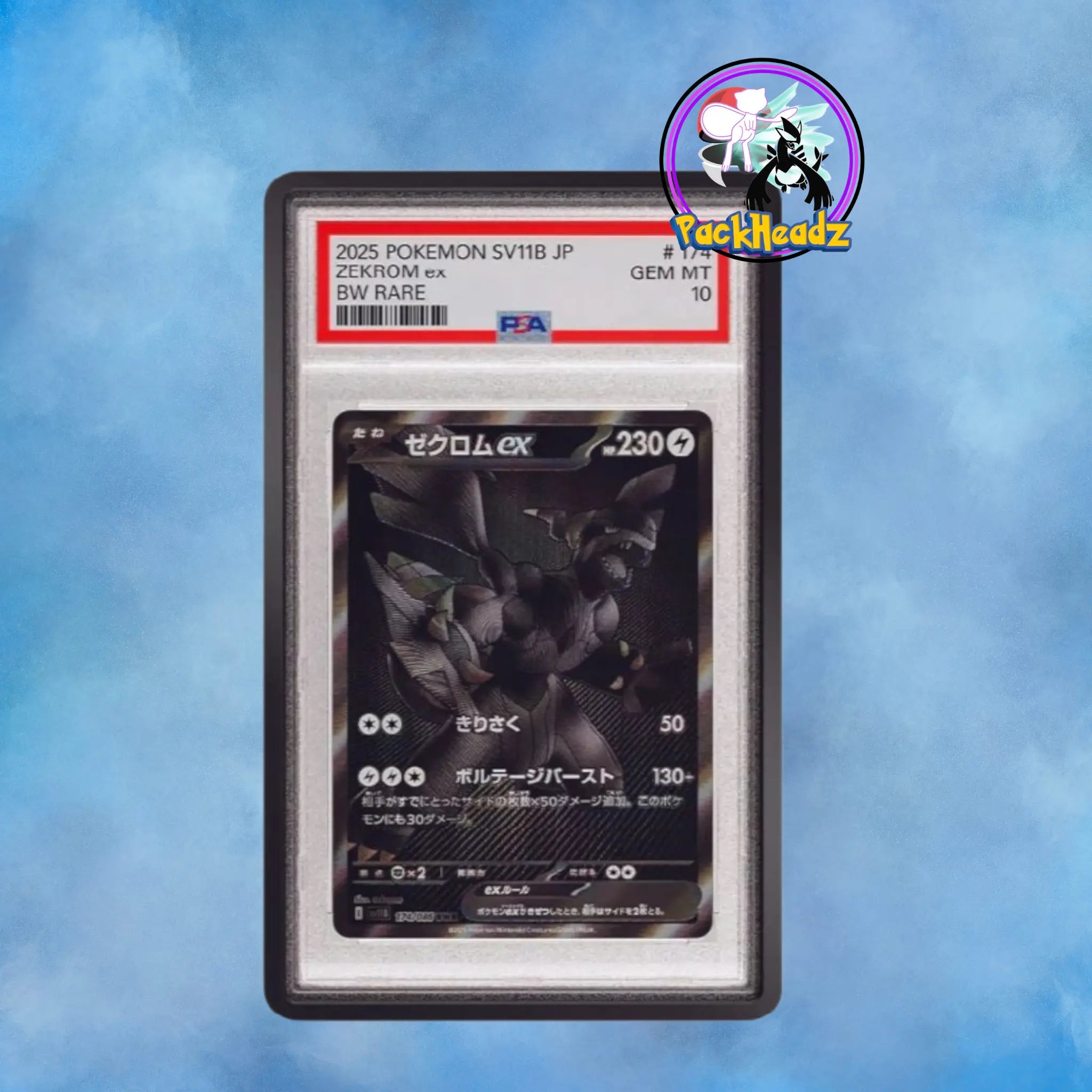 Graded Guard Limited Obsidian My Store